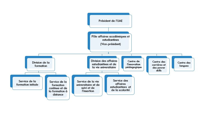 organigramme