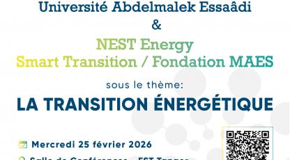 Rencontre thématique entre l'Université Abdelmalek Essaâdi et NEST autour de la transition énergétique